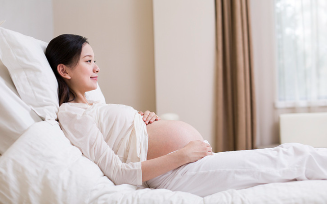 同輝家政 同輝家政