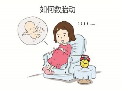 胎兒好不好，胎動全知道，數(shù)胎動的重要性